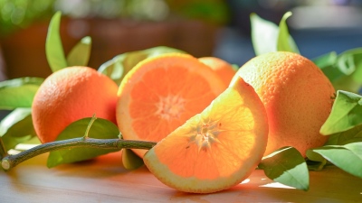 枳实提取物——辛弗林