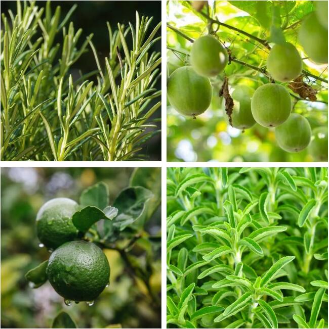 QQ截图20220519141203 QQ截图20220519141203