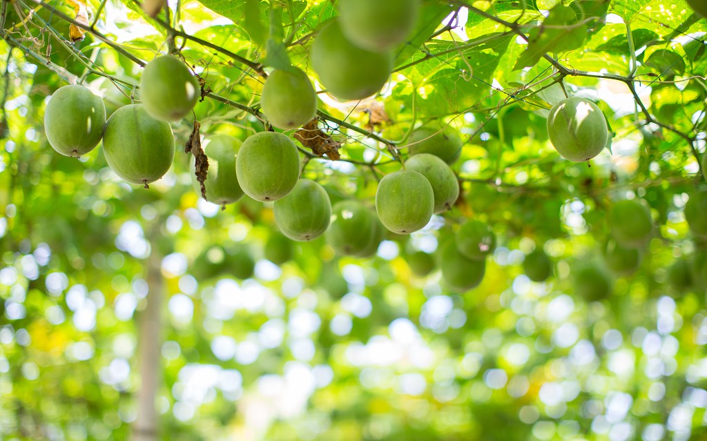 文章配图 文章配图