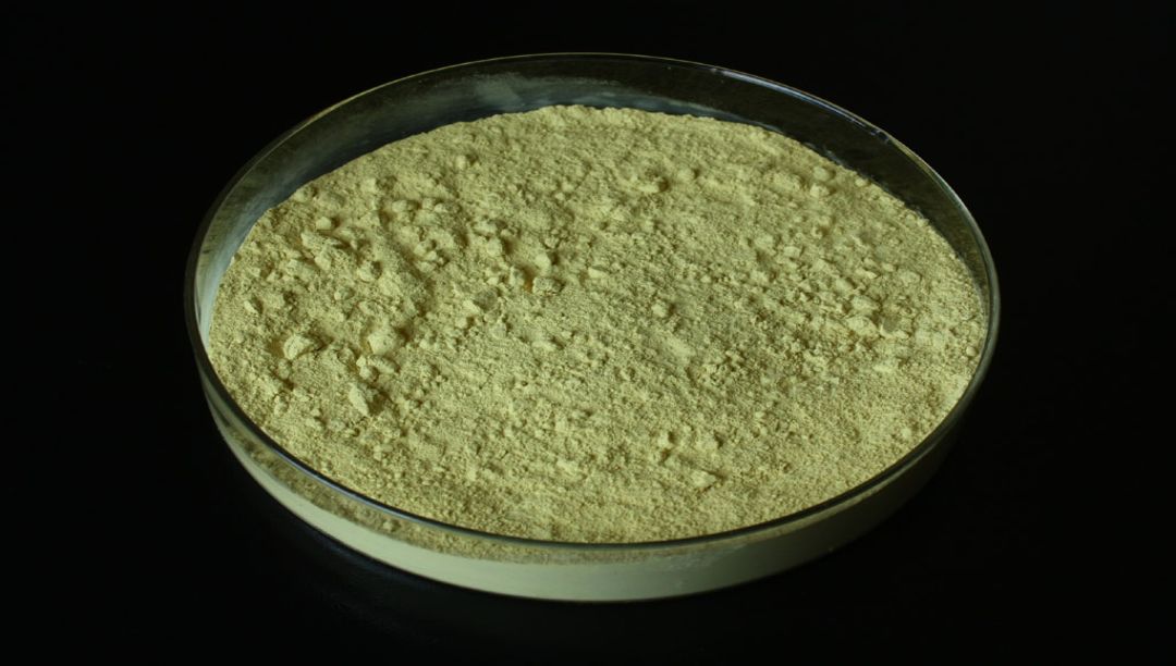 熊果酸的应用和发展