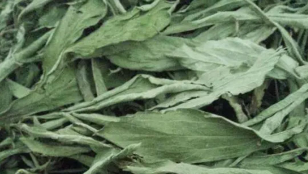 甜叶菊提取物：一种天然的甜味剂