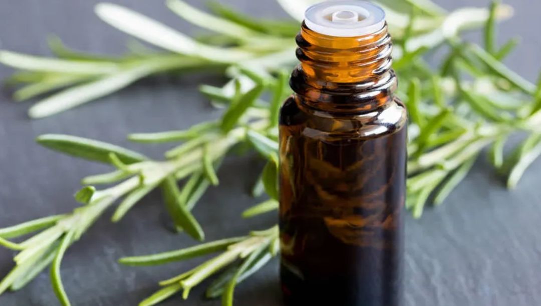 迷迭香精油：一种天然的香气和护肤成分