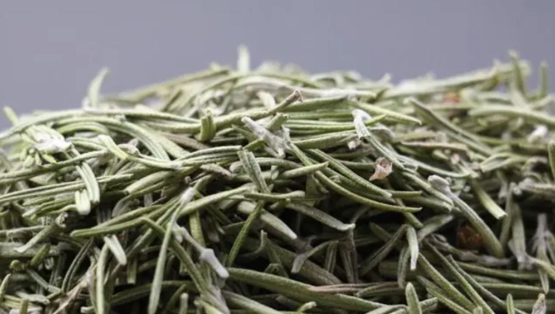 迷迭香提取物：一种神奇的天然抗氧化剂