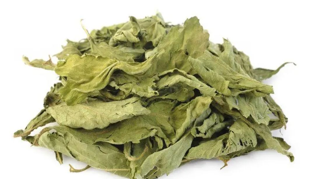 甜叶菊提取物：一种天然的甜味剂