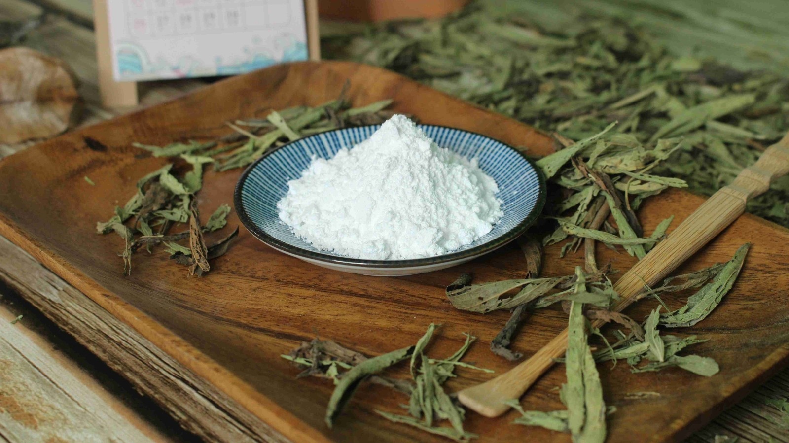 IMG_0560(1) IMG_0560(1)