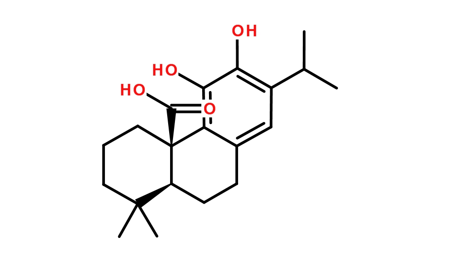 微信图片_20230717103450_副本