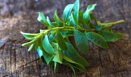 微信截图_20231115101834