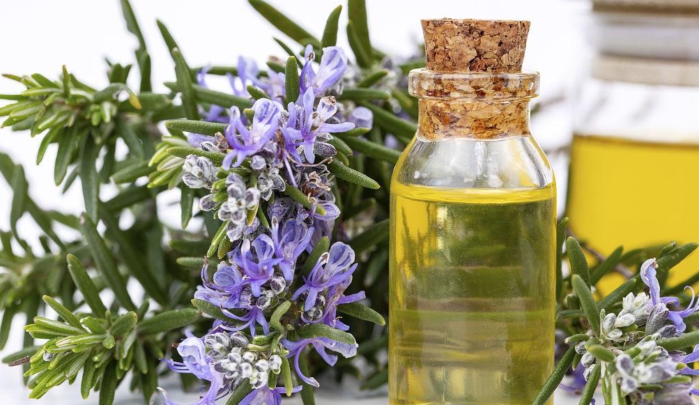 微信截图_20231116110250