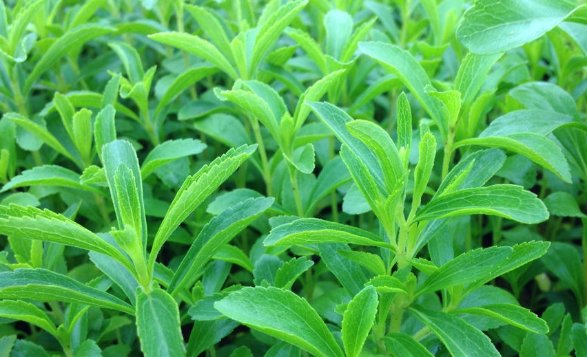 微信截图_20231117102338